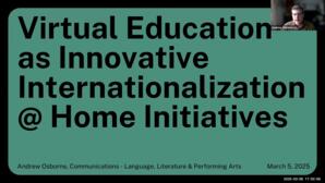Virtual education as innovative internationalization @ home initiatives