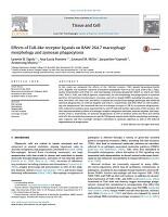 Effects of toll-like receptor ligands on RAW 264.7 macrophage morphology and zymosan phagocytosis