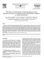 The effects of mullein plants (Verbascum thapsus) on the population dynamics of Dicyphus hesperus (Heteroptera: Miridae) in tomato greenhouses
