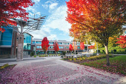 Coquitlam Campus in Fall