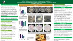 Does washing your fruit make a difference? Evaluating disinfection methods to remove bacteria from cantaloupe melon