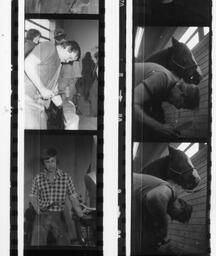 Farrier competition Langley