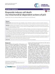 Etoposide induces cell death via mitochondrial-dependent actions of p53