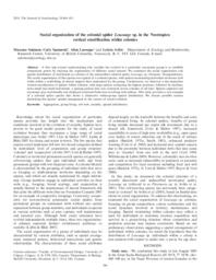 Social organization of the colonial spider Leucauge sp. in the Neotropics: vertical stratification within colonies