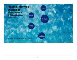 Trauma informed strategies: Concrete strategies and tangible tools for career development professionals