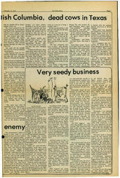 OtherPress1979Vol6No4.pdf-7