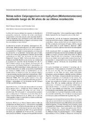 Notas sobre Calycogonium microphyllum (Melastomataceae) localizado luego de 84 años de su última recolección