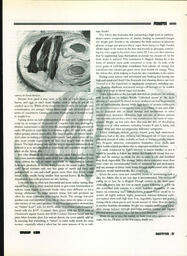 OtherPress2004Vol31No1.pdf-23