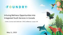 Infusing wellness opportunities into integrated youth services in Canada