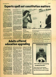 DouglasPinion1980Vol11No3.pdf-11