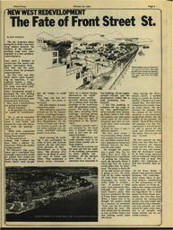 OtherPress1981Vol11No3.pdf-9