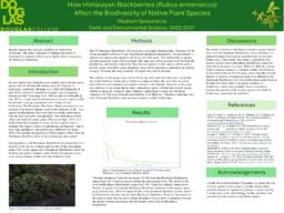 How Himalayan blackberries (Rubus armeniacus) affect the biodiversity of native plant species