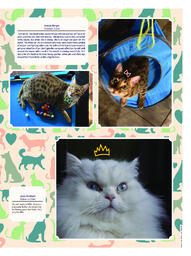 OtherPress2021Vol47No30.pdf-25
