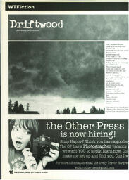 OtherPress2006Vol33No3.pdf-18