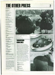 OtherPress2005Vol32No5.pdf-2