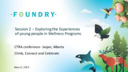 Exploring the experiences of young people in wellness programs