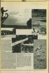 OtherPress1996Vol20No16.pdf-7