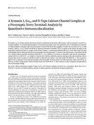 A syntaxin 1, Gαo, and N-type calcium channel complex at a presynaptic nerve terminal: Analysis by quantitative immunocolocalization