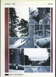 OtherPress2004Vol30No7.pdf-12
