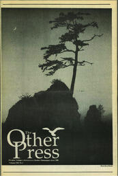 OtherPress1989Vol13No2.pdf-1