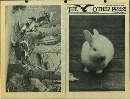 OtherPress1984Vol16No3.pdf-16
