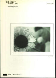 OtherPress2003Vol29No2.pdf-16
