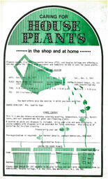 Caring for House Plants