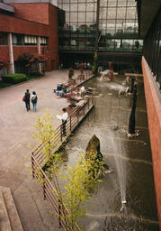 New Westminster Campus Japanese Garden