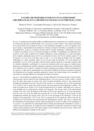 Uso del microhábitat por Encyclia pyriformis (Orchidaceae) en la Reserva Ecológica Los Pretiles, Cuba