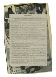 OtherPress1995Vol19No14.pdf-9