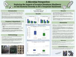 A microbial perspective: Exploring the impacts of invasive Himalayan blackberry on soil bacterial diversity in BC's temperate rainforests 