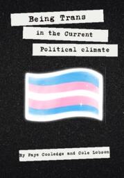 Being trans in the current political climate